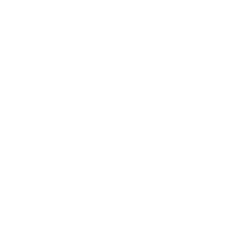 light-your-spark-and-brand